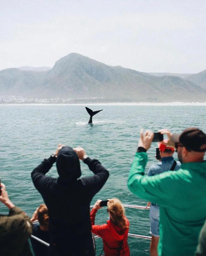 Hermanus Whale Cottage Dış mekan fotoğraf